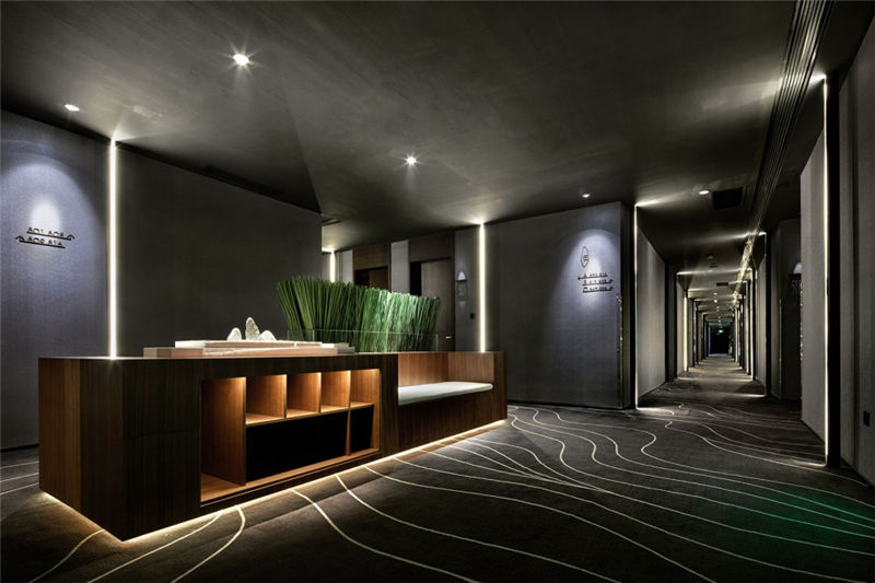 酒店走廊欣賞 酒店走廊欣賞