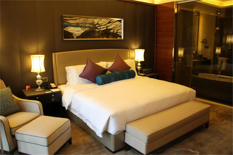 客房單人間設(shè)計欣賞