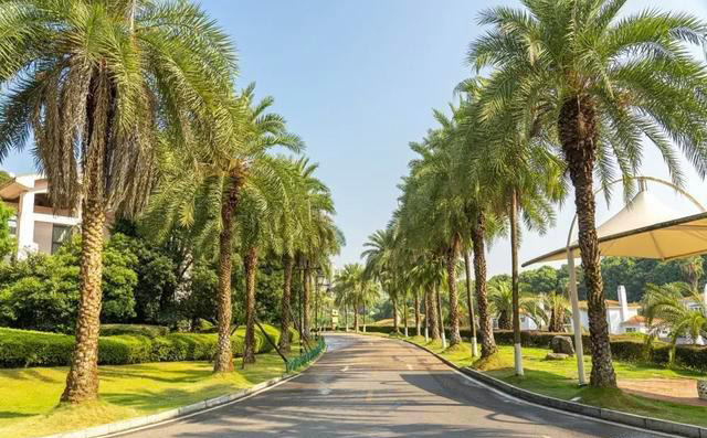 《乘風(fēng)破涼的姐姐》入住別墅酒店內(nèi)景設(shè)計(jì)大曝光