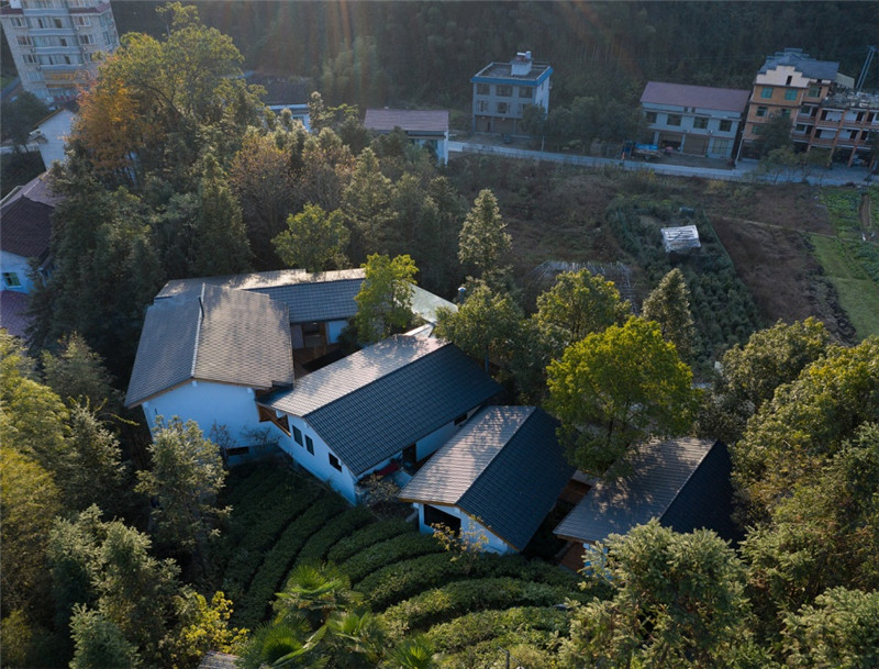 鄉(xiāng)野山林之雅居之蘭舍民宿酒店設(shè)計