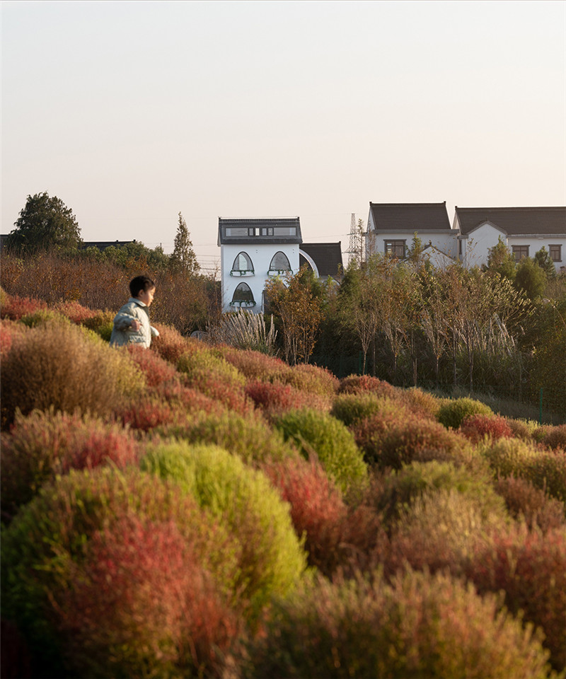 上海待涇村花海民宿外觀改造設(shè)計(jì)案例 上海待涇村花海民宿外觀改造設(shè)計(jì)案例