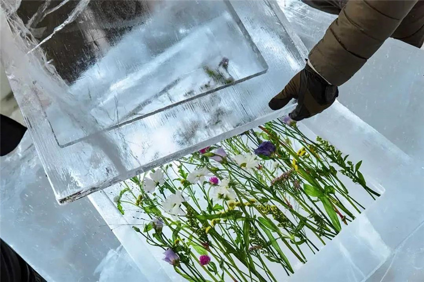 仲夏夜之夢(mèng)  瑞典冰雪酒店新冰屋主題客房設(shè)計(jì)賞析