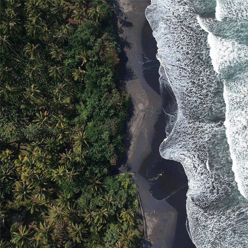 熱帶雨林加木屋  Lost Lindenberg度假酒店民宿設(shè)計